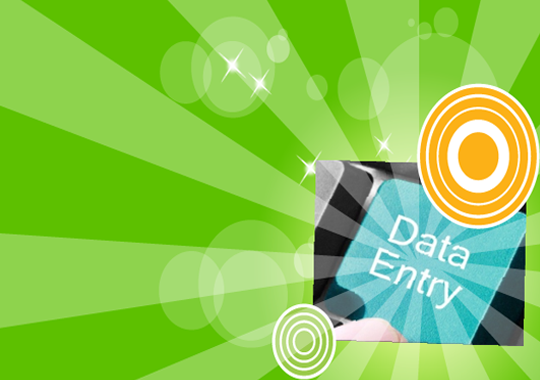 Accurate and efficient data entry services offered by Shan Translation